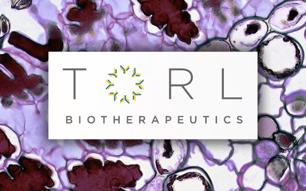 TORL BioTherapeutics Launches with $158 Million Series B Financing to Advance Development of Novel Oncology Biologics